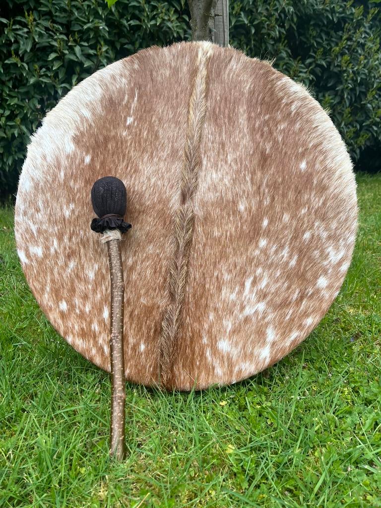 Sjamaan drum Nubisch geit 50 cm. met drumstok, Enlèvement ou Envoi, Neuf
