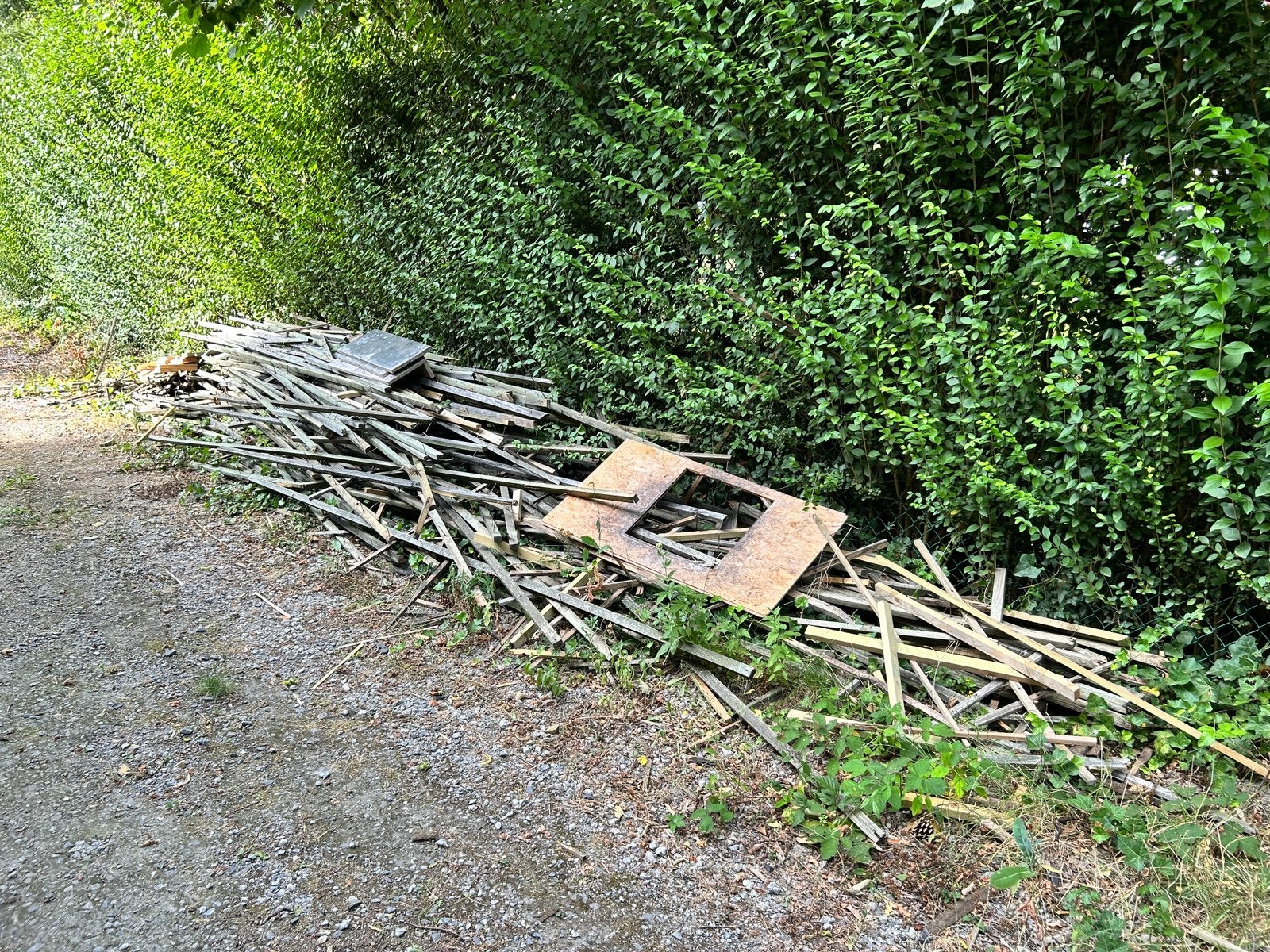 Gratis brandhout, Ophalen