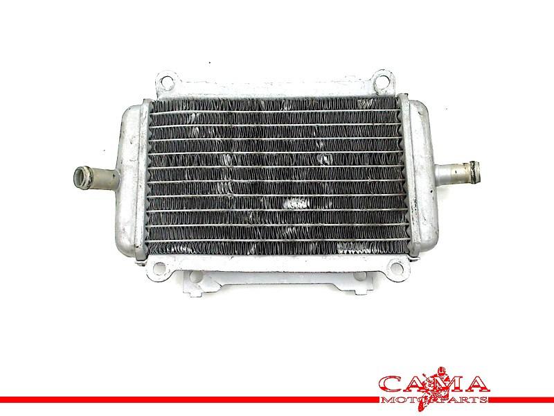 RADIATEUR GTS 300 2014-2017 (GTS300 Super ZAPMA3300), Motoren, Onderdelen | Overige, Gebruikt