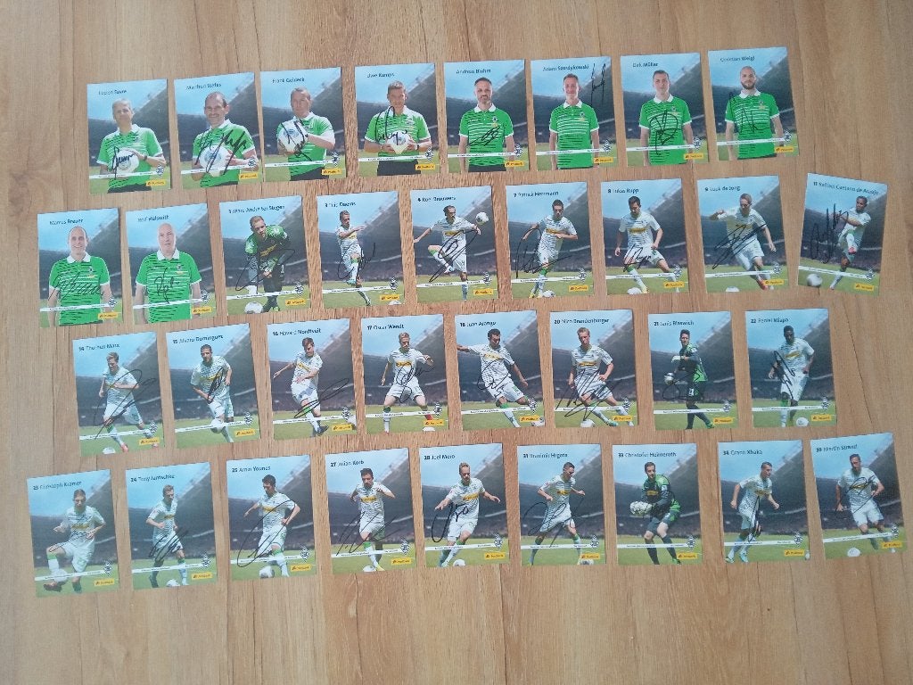 Gesigneerde 2013-'14 spelerskaarten Borussia Mönchengladbach, Ophalen of Verzenden, Nieuw, Clubaccessoires