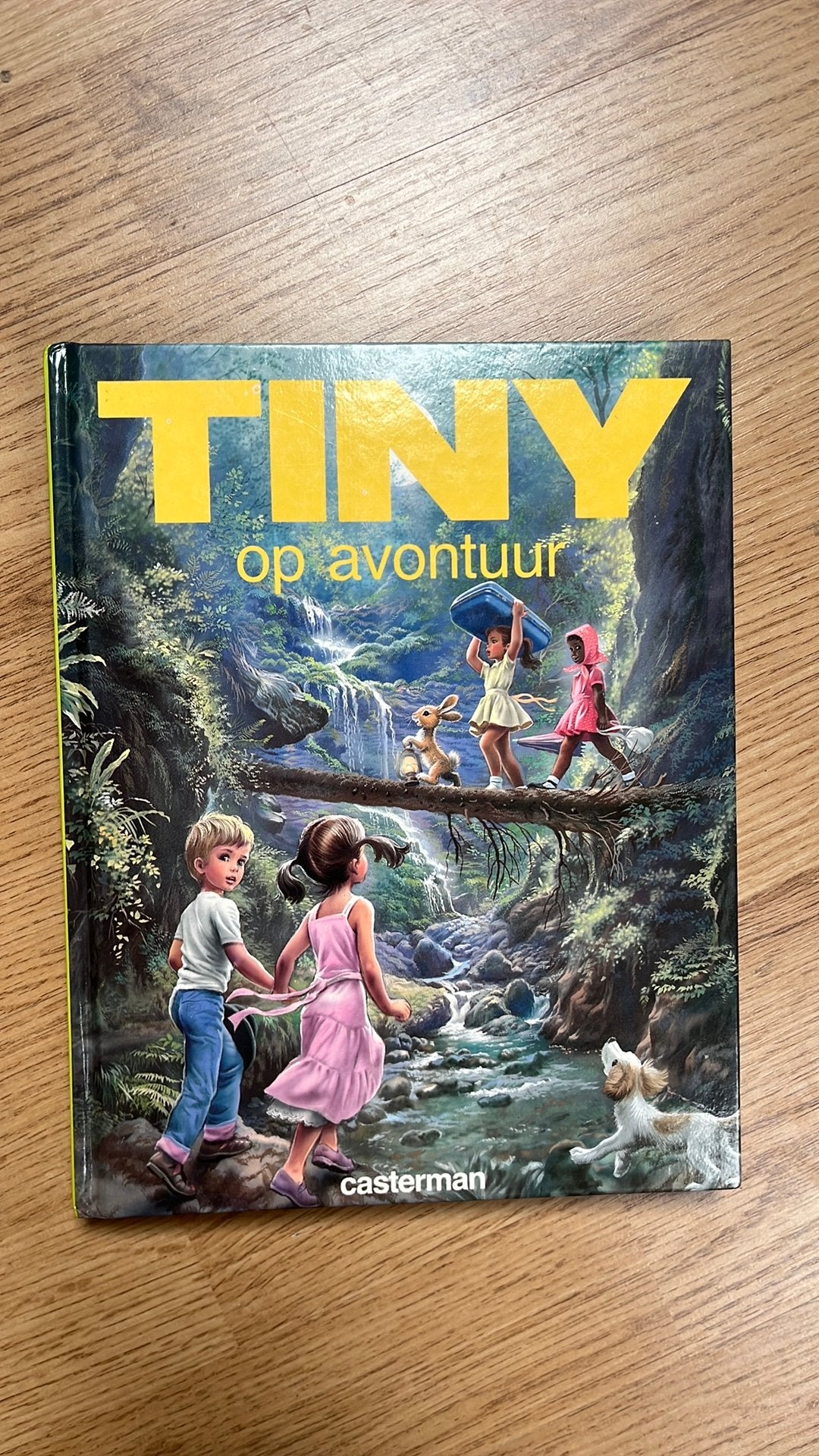 Tiny op Avontuur, Enlèvement ou Envoi, Comme neuf, Fiction
