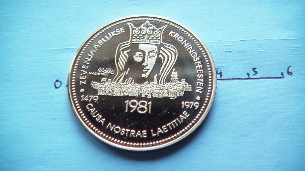 médaille civitas tungrorum 1981, Enlèvement