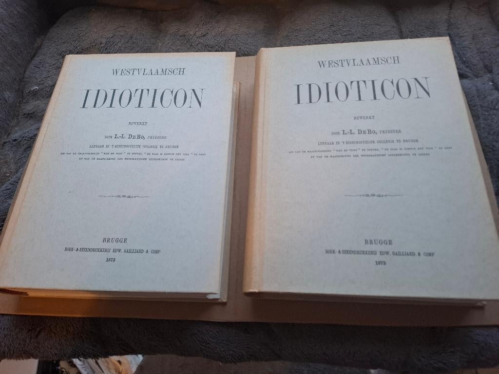 Westvlaamsch Idioticon - 2 delen  -  De Bo L.L. Priester, Boeken, 19e eeuw, Ophalen of Verzenden, Zo goed als nieuw, Leonard Lodewijk De Bo