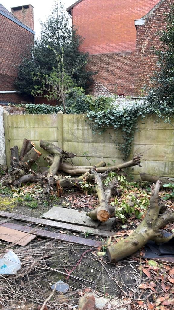 Bois a donner, Ophalen, Zo goed als nieuw, Hout