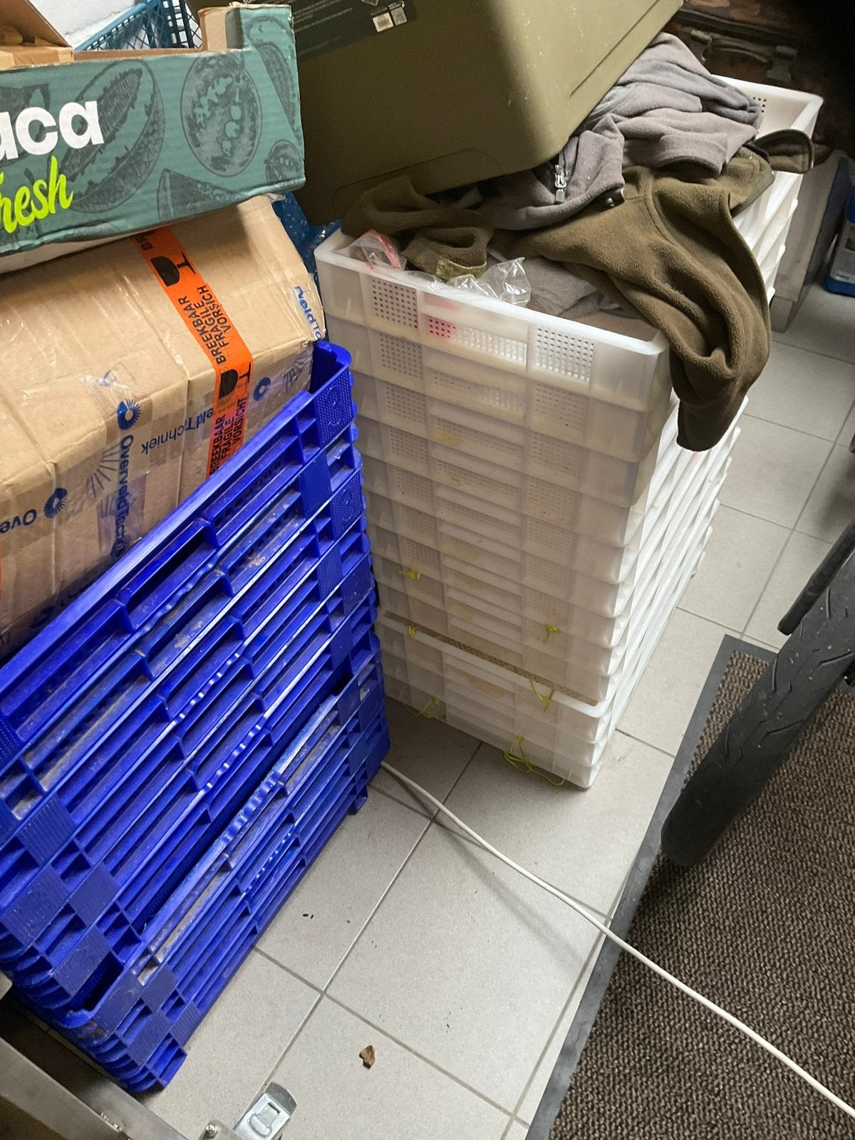 12 stoommanden 400 op 600, Bricolage & Construction, Casiers & Boîtes, Enlèvement, Comme neuf