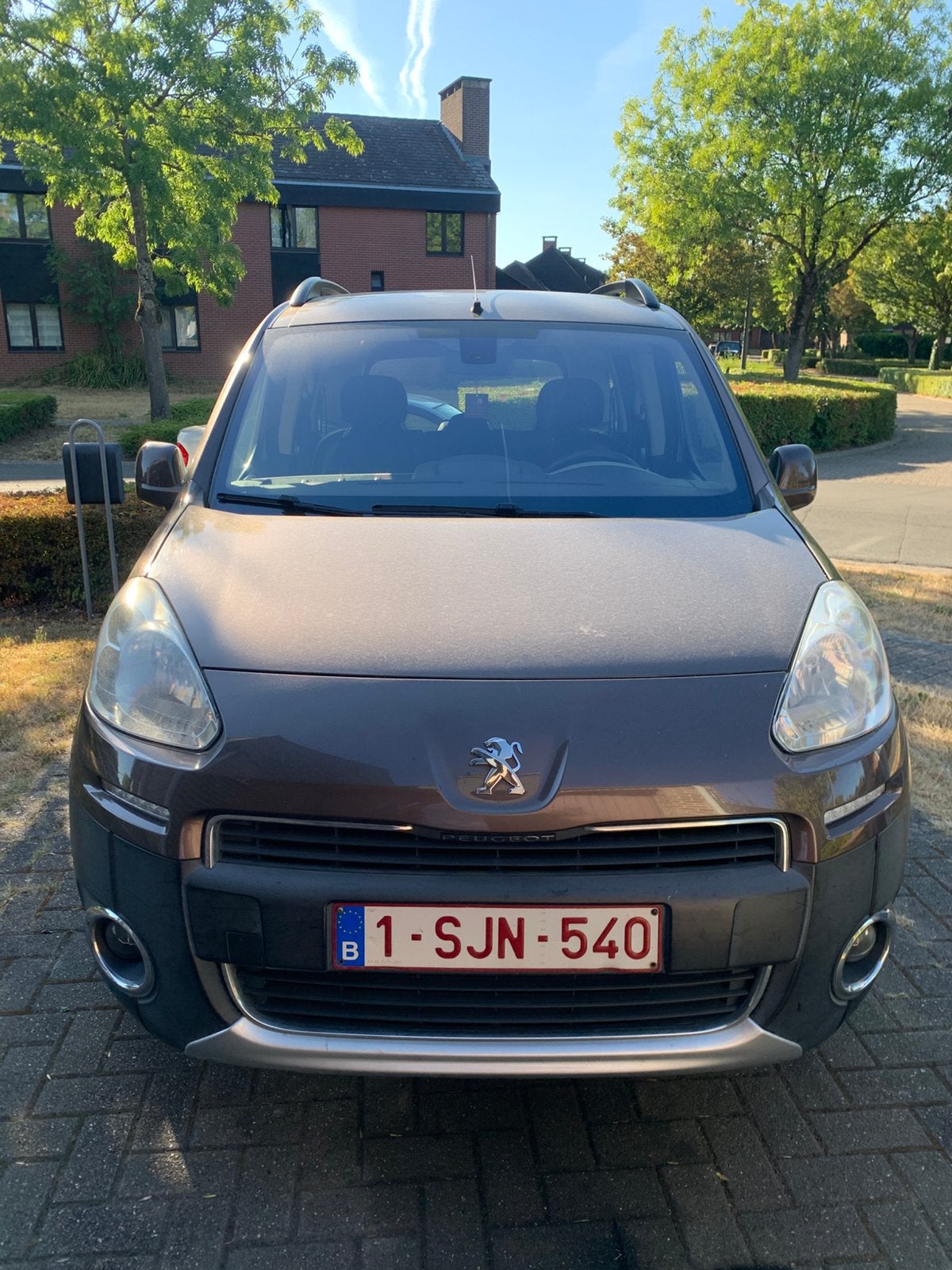 Peugeot Tepee, Auto's, Euro 5, Monovolume, Airbags, Bruin