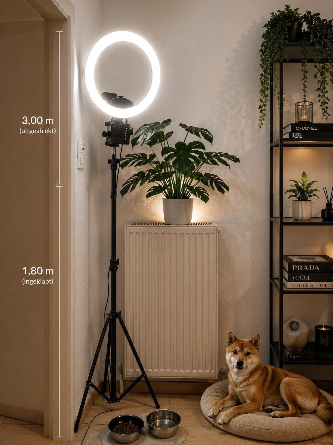 FALCONEYES LICHTSTAND + LED LIGHTRING €70€, Enlèvement ou Envoi, Falcon Eyes, Réglable, Trépied