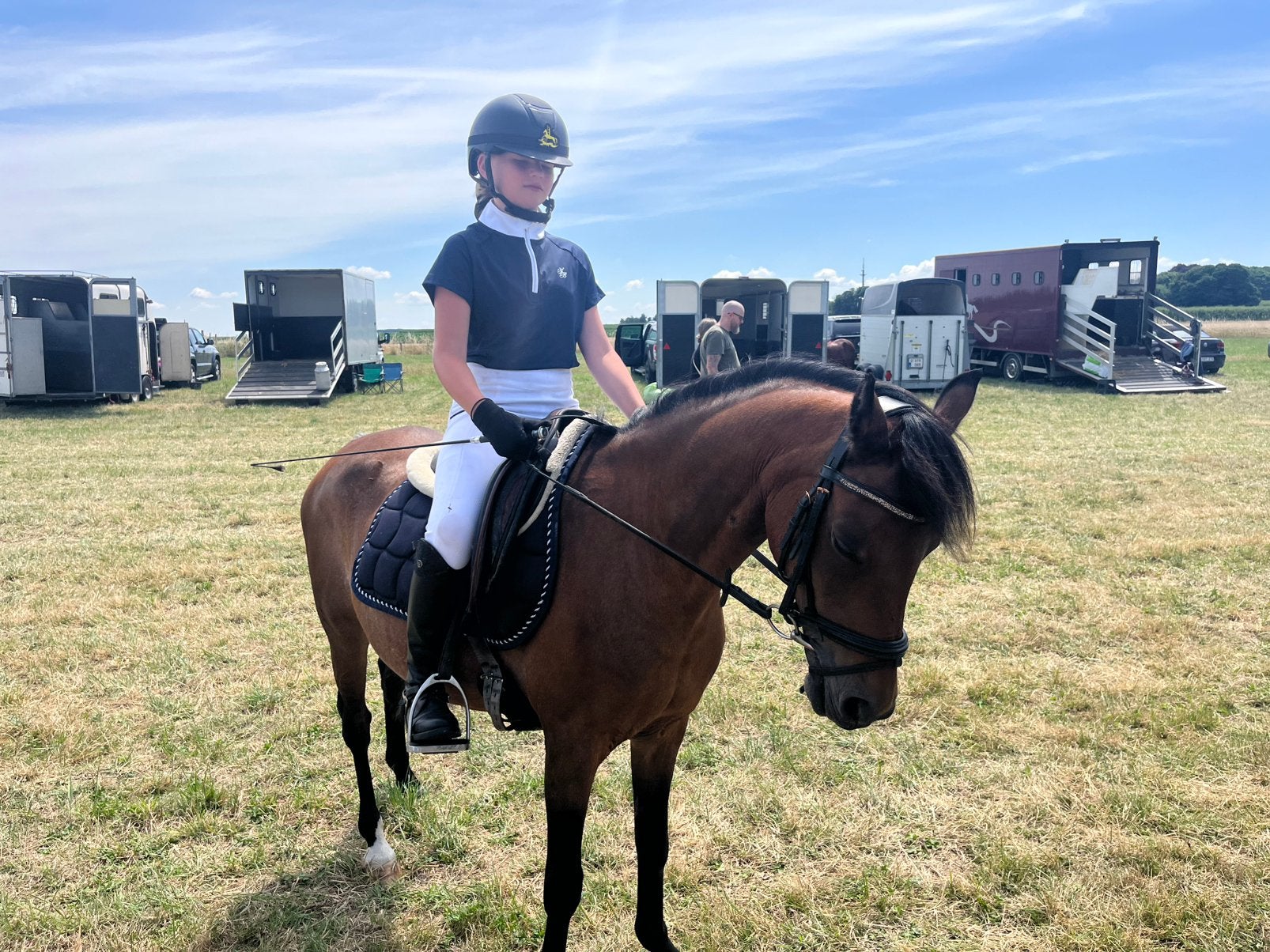 C pony Welsh, Dieren en Toebehoren, Merrie, Minder dan 160 cm, Met stamboom, 11 jaar of ouder