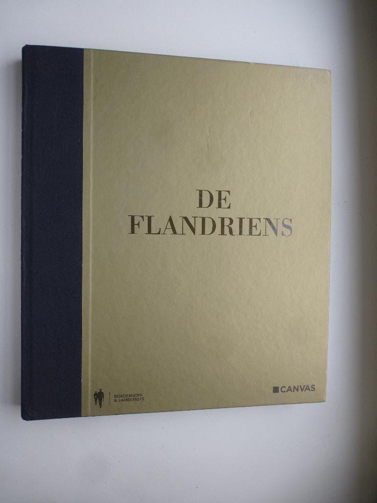 DE FLANDRIENS, Boeken, Ophalen of Verzenden, Zo goed als nieuw, Lopen en Fietsen