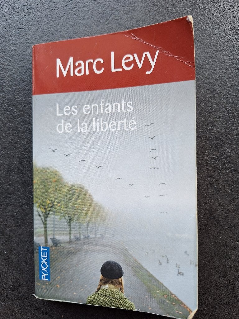 Les enfants de la liberté - Marc Levy, Boeken, Europa overig, MARC LEVY, Ophalen, Gelezen