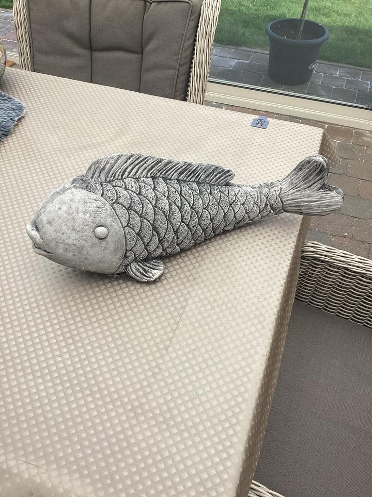 Kooi vis 55 cm, Ophalen, Zo goed als nieuw