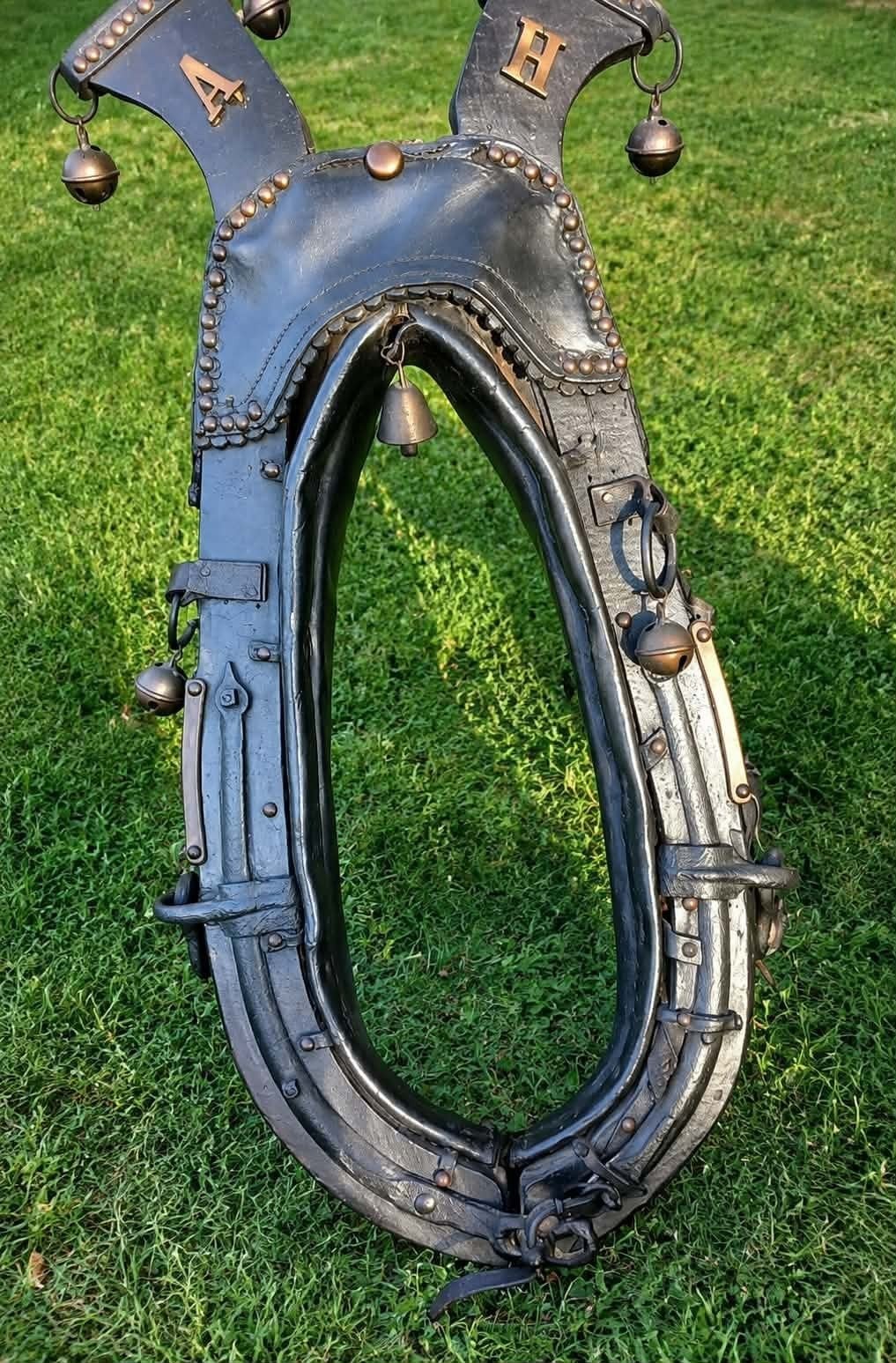 Harnais magnifique, Animaux & Accessoires, Chevaux & Poneys | Brides & Harnachement, Enlèvement