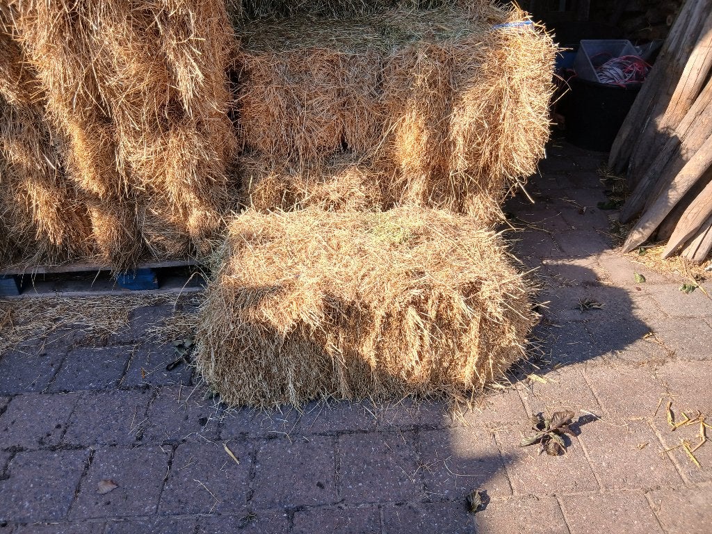 Benodigdheden paardenweide