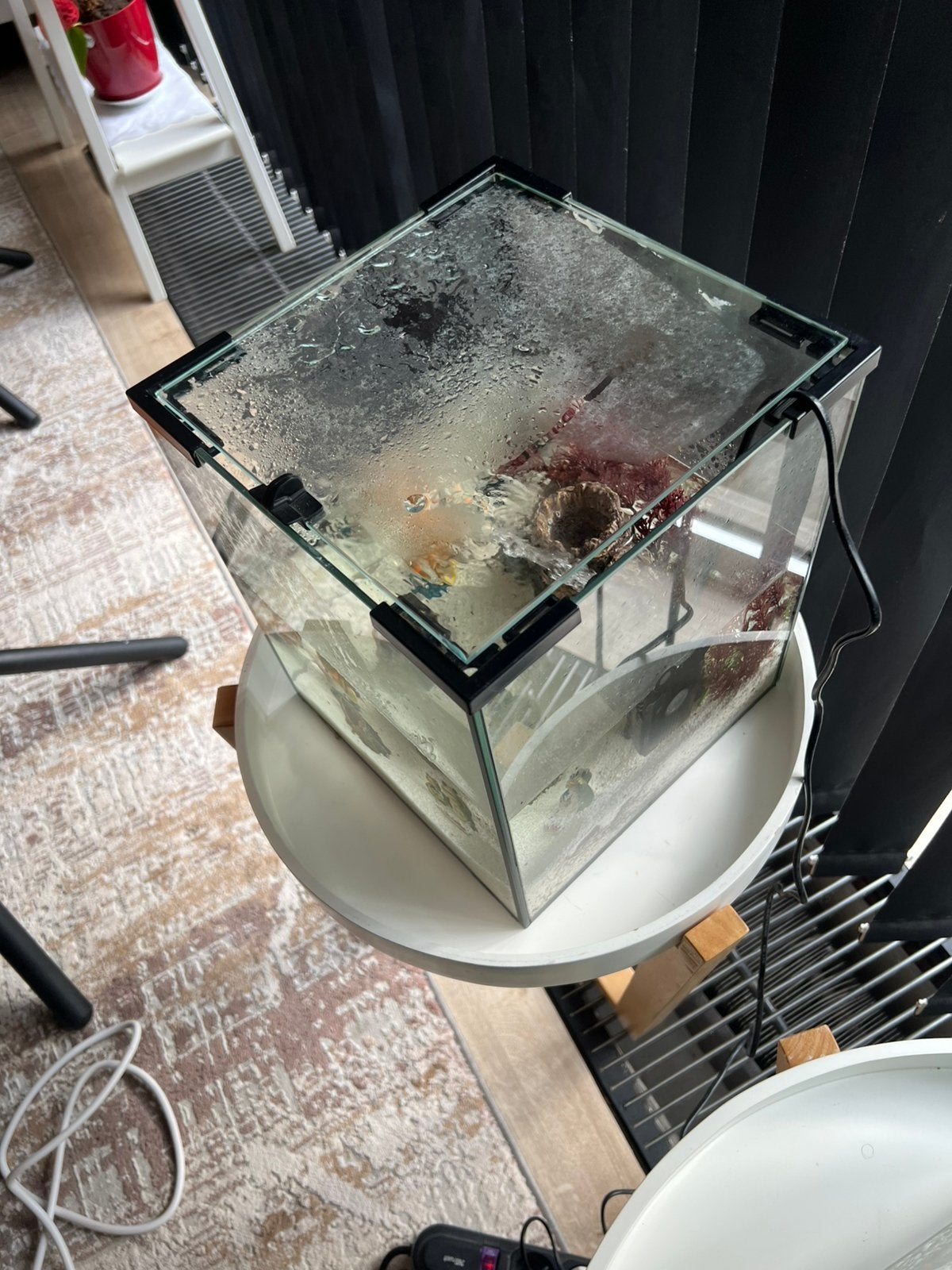 Aquarium met  2 vissen, Dieren en Toebehoren, Ophalen, Pomp, Zo goed als nieuw