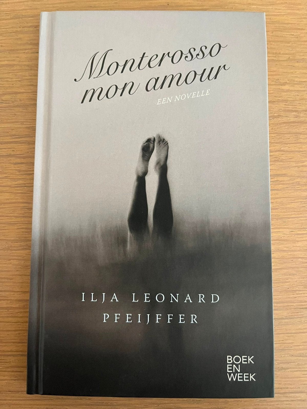 Monterosso mon amour, Boeken, Ophalen, Gelezen, Ilja Leonard Pfeijffer