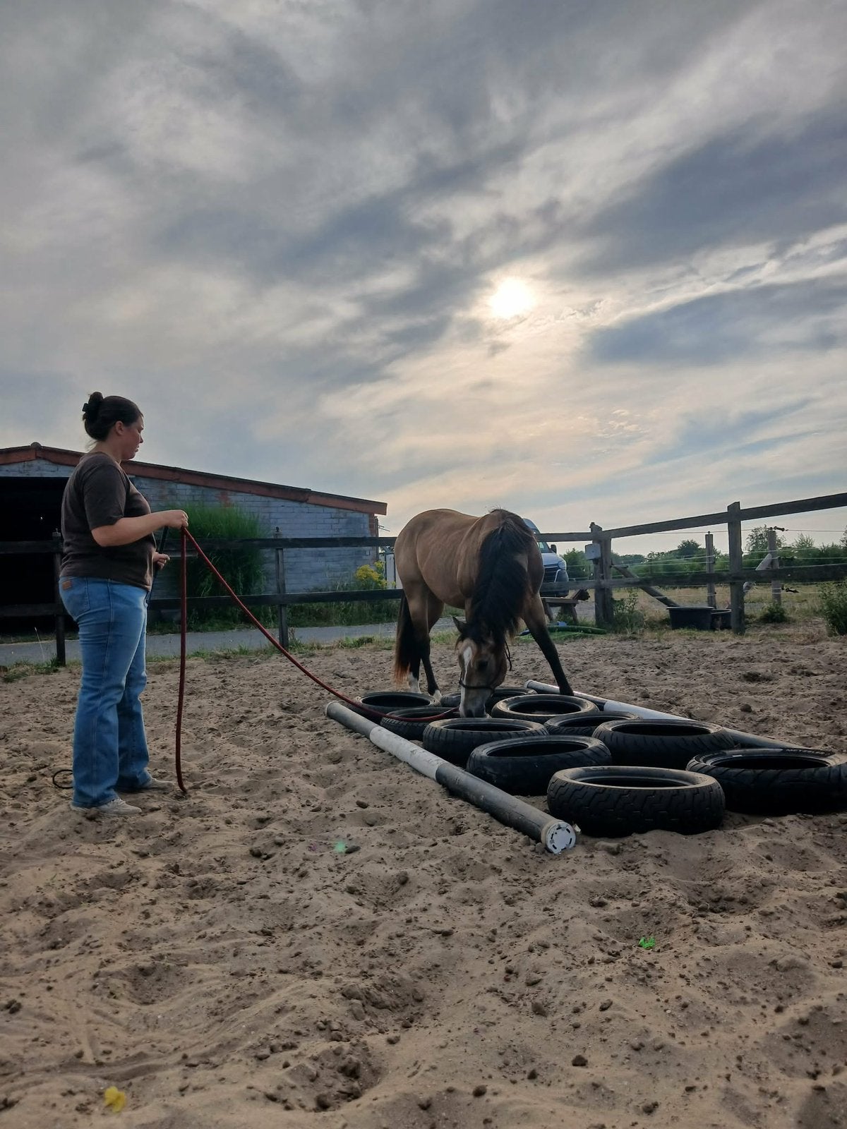 Training en lessen, Animaux & Accessoires, Chevaux, Débourré