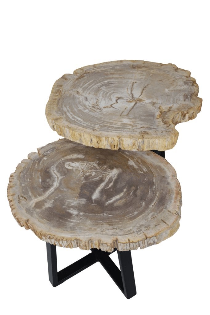 versteend houten salontafel fossiel, Ophalen of Verzenden, Fossiel
