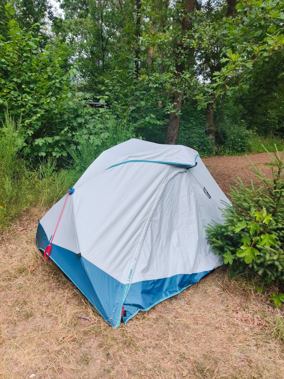 Pop-up kampeertent voor 2 pers 2 Sec Easy Fresh & Black, Caravans en Kamperen, Tenten, Ophalen
