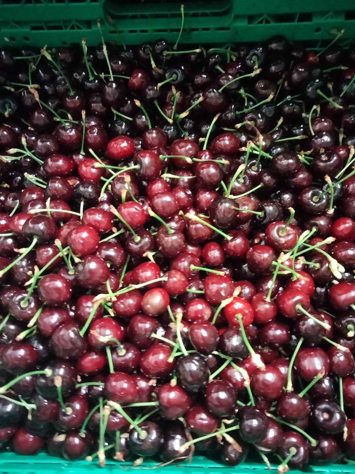 Cerises, Enlèvement