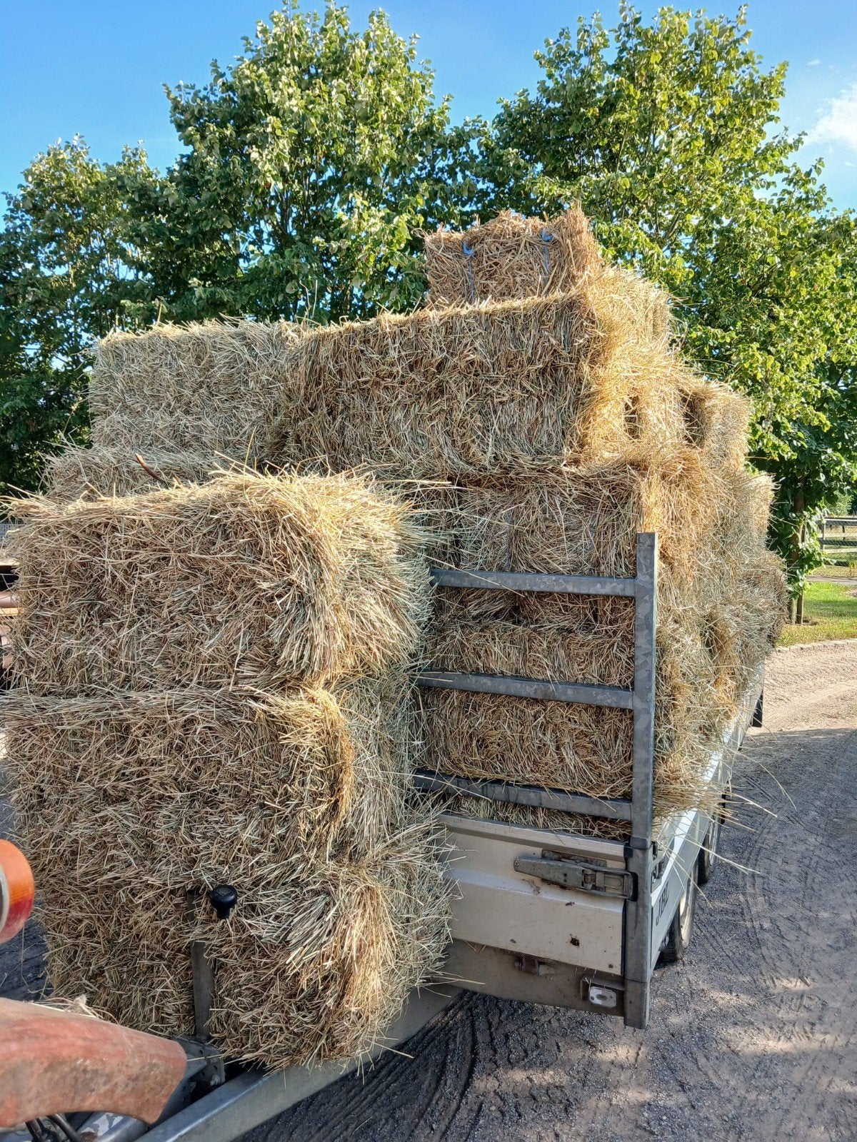 Kleine pakken hooi, Zakelijke goederen, Landbouw | Veevoer, Ophalen