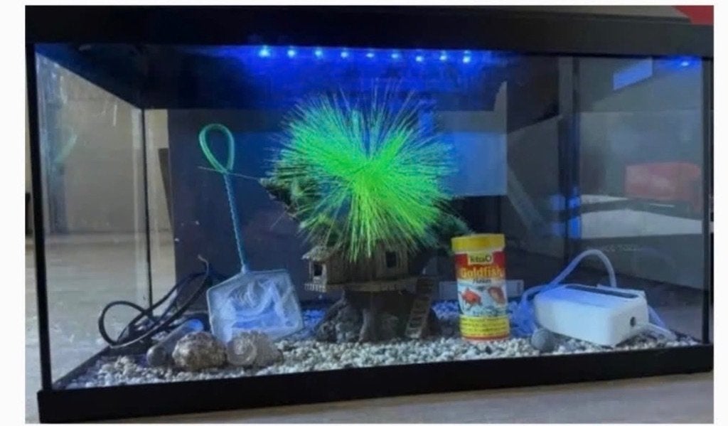Aquarium juwel, aquarium, Dieren en Toebehoren, Vissen | Aquaria en Toebehoren, Ophalen, Verwarming, Decoratie, Juwel