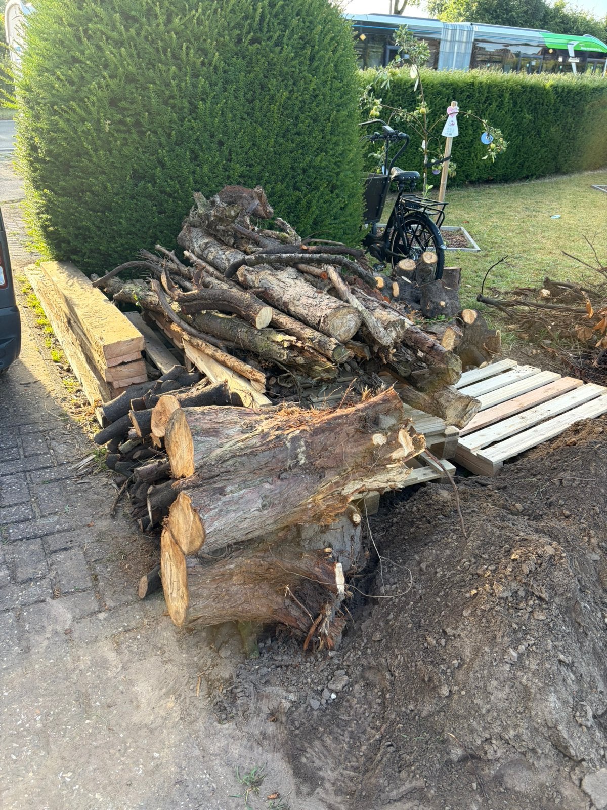 Gratis brandhout, Enlèvement