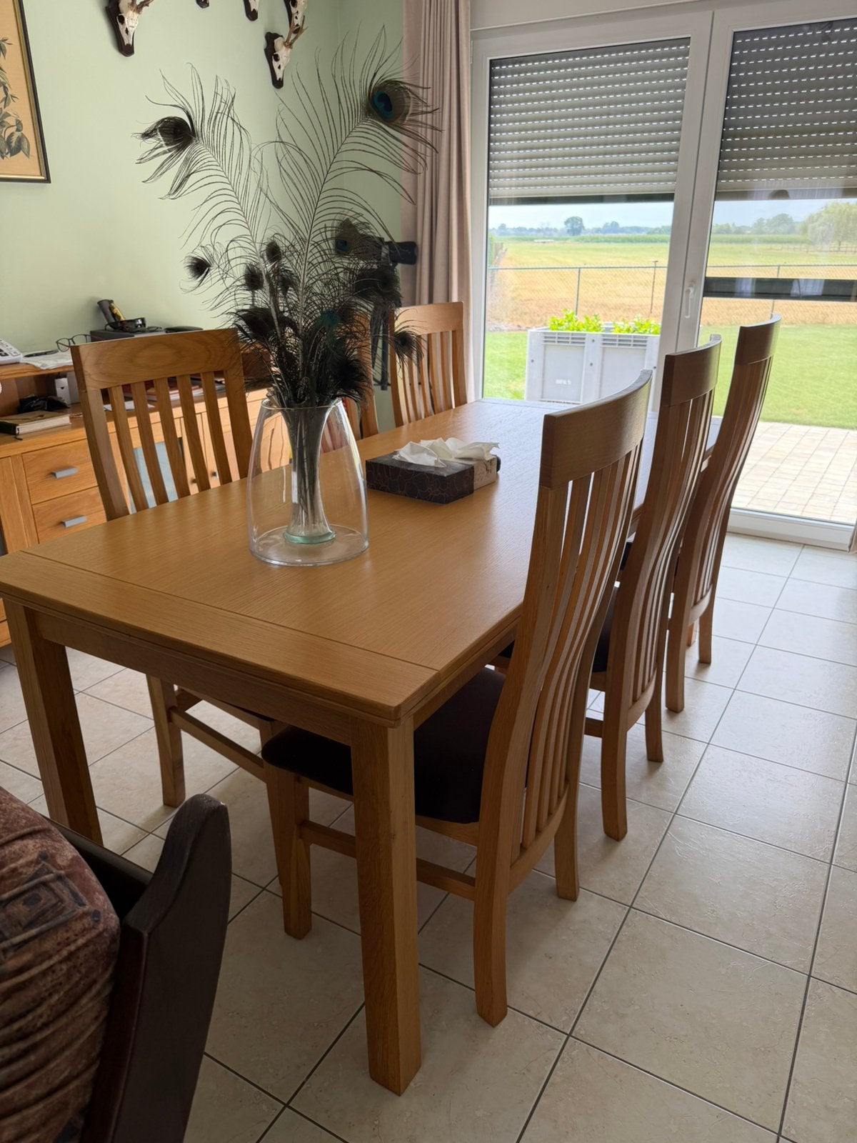 Gratis eettafel + 6 stoelen, Huis en Inrichting, Ophalen, Gebruikt, 4 tot 6 stoelen