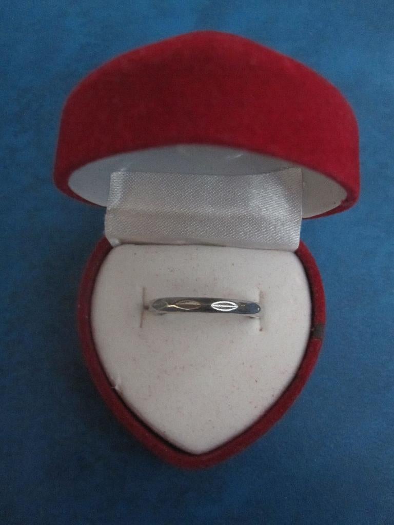 Bague - couleur argentée - relief tressé (NOUVEAU), Bijoux, Sacs & Beauté, Bagues, Neuf, Enlèvement ou Envoi, Fer ou Acier, Plus petit que 17
