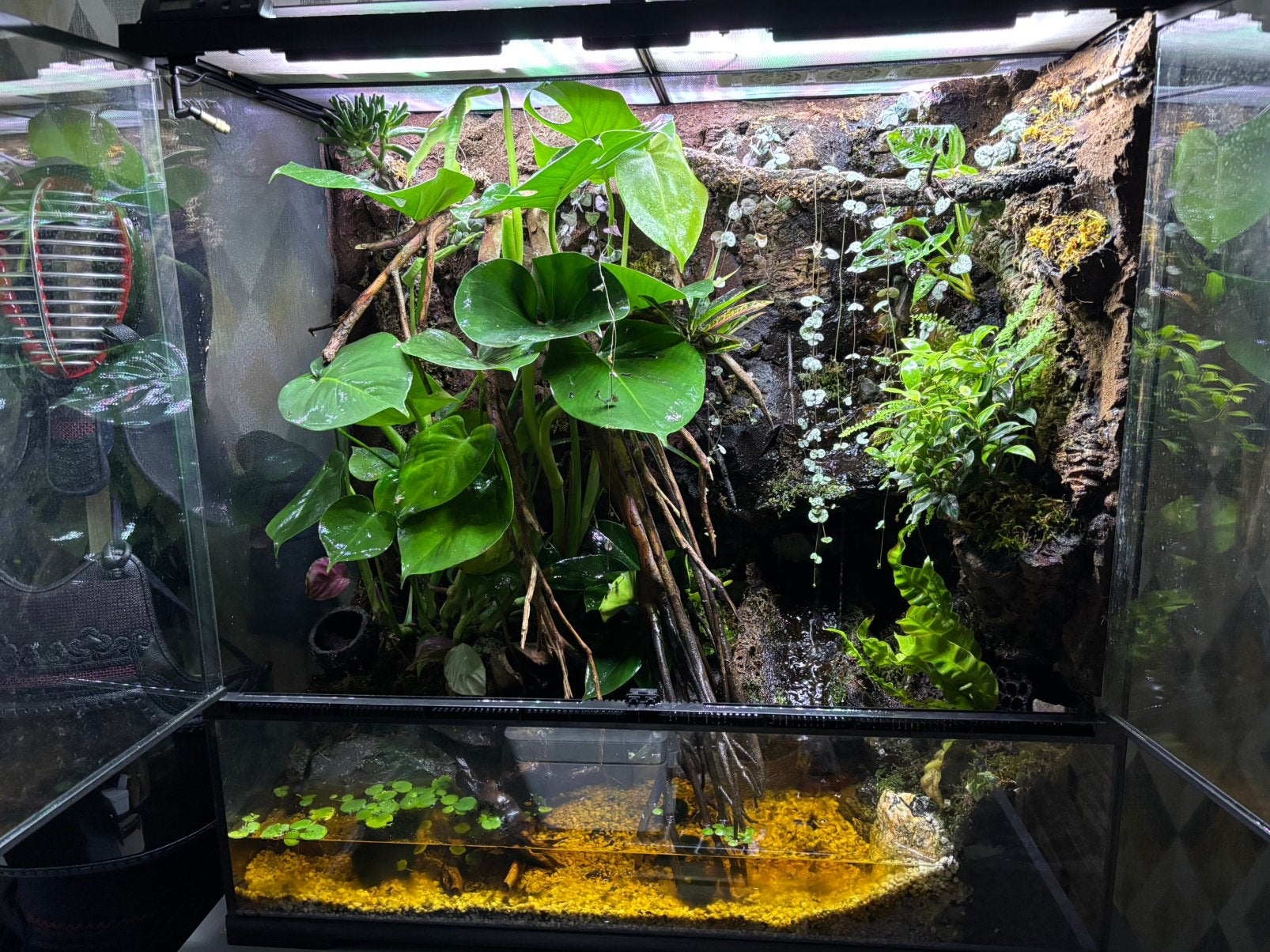 Paludarium Tropical COMPLET 90x45x90, Animaux & Accessoires, Reptiles & Amphibiens | Accessoires, Comme neuf, Terrarium ou Paludarium