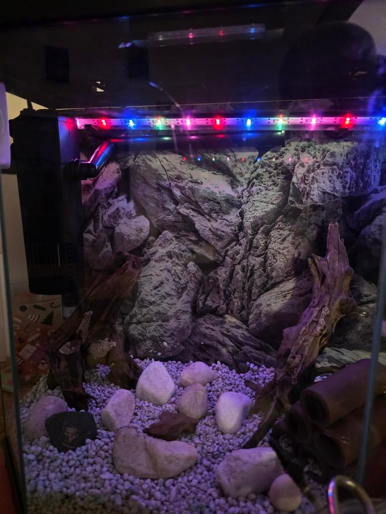 1 aquarium a vendre, Enlèvement, Pompe