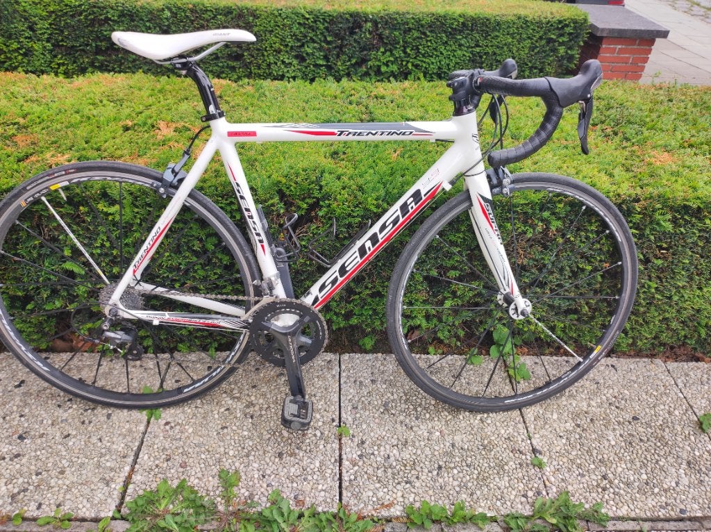 Sensa trentino racefiets, Vélos & Vélomoteurs, Vélos | Vélos de course, Utilisé, Aluminium, 53 à 57 cm, Enlèvement