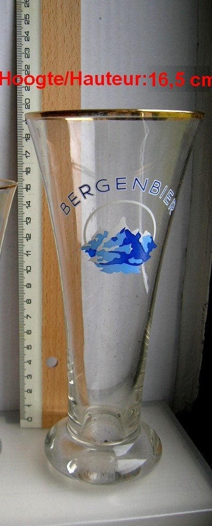 BERGENBIER (16,5 cm), Collections, Enlèvement ou Envoi, Comme neuf, Verre ou Verres