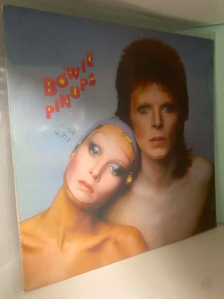 Bowie – Pinups - Canada 1973, CD & DVD, Vinyles | Rock, Utilisé, LP, Envoi