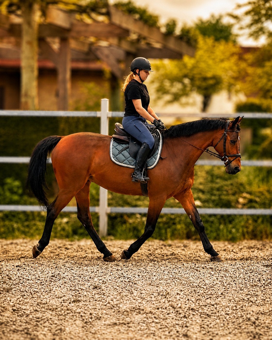 Recreatiepaard, Dieren en Toebehoren, Paarden, Merrie, Recreatiepaard