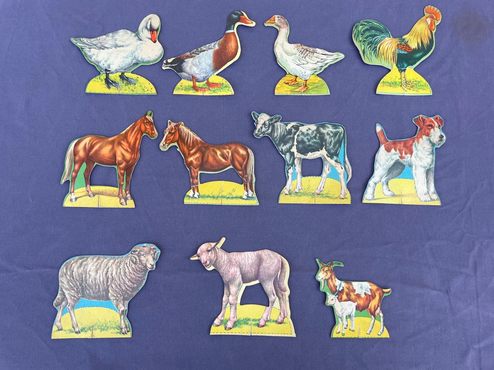 11 oude kartonnen chromo afbeeldingen dieren, Gebruikt, Ophalen of Verzenden, 1940 tot 1960, Dier