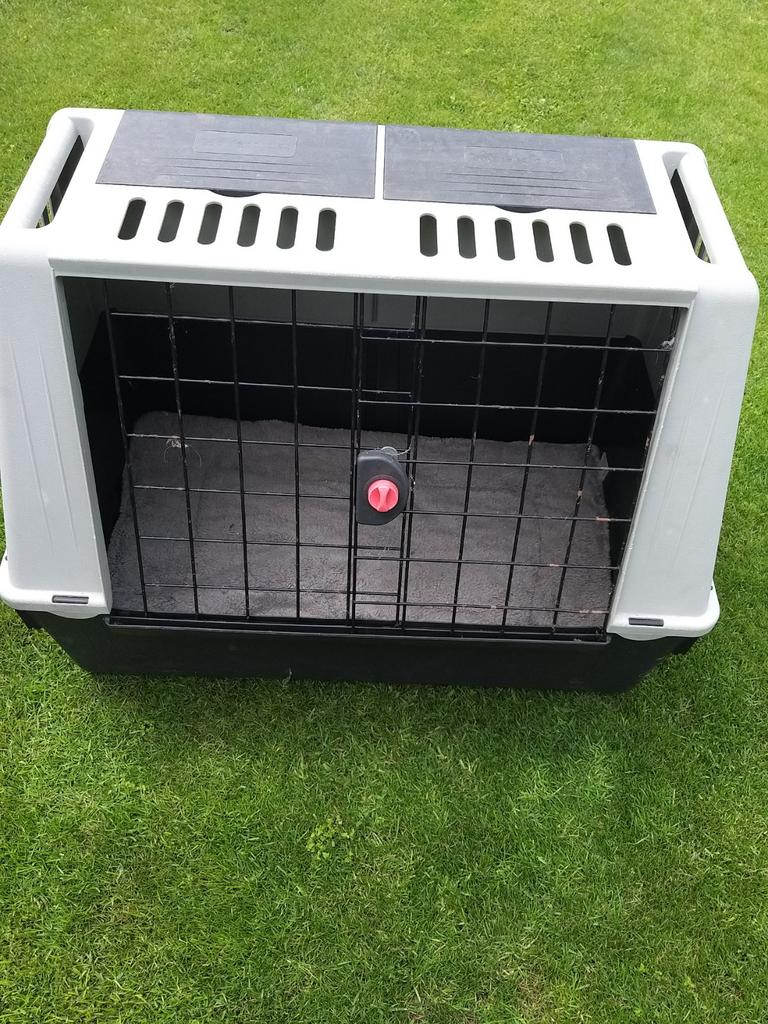 Honden  of katten bench, Dieren en Toebehoren, Ophalen