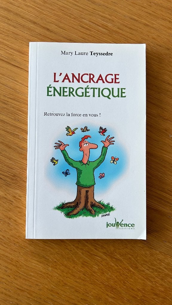 L'ancrage énergétique - Mary Laure Teyssedre, Boeken, Ophalen of Verzenden, Zo goed als nieuw, Overige onderwerpen, Mary Laure Teyssedre