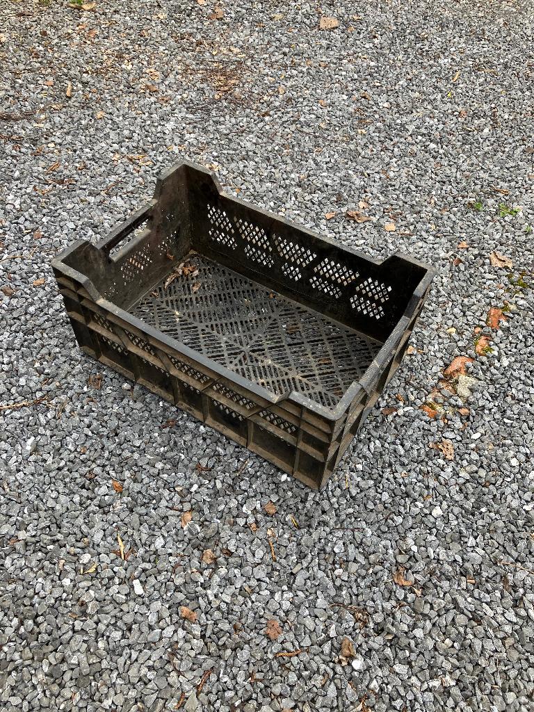 Plastiek bakken, Ophalen, Gebruikt, 40 tot 60 cm, 50 tot 75 cm
