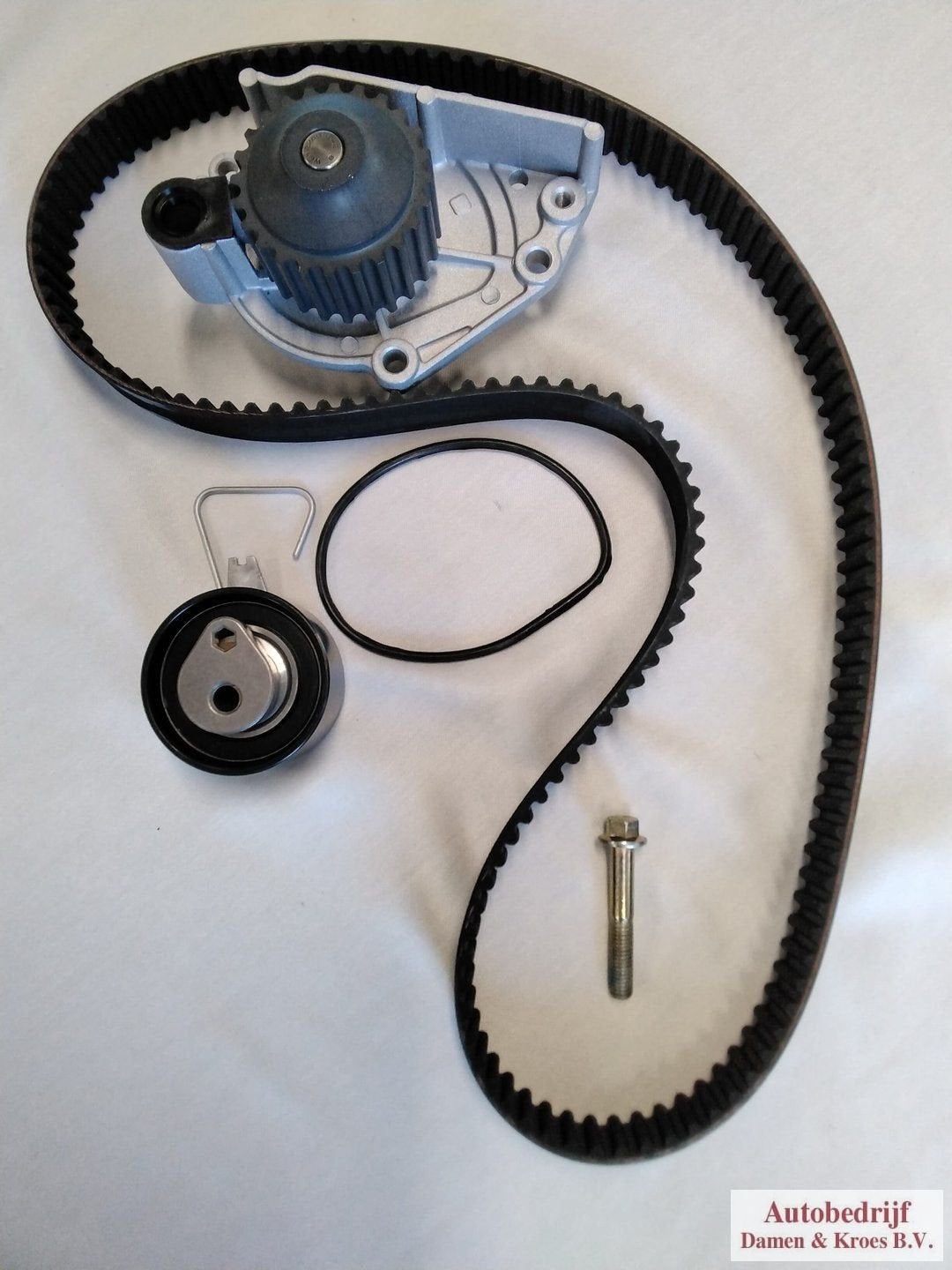 Distributieset MG Rover. 4 cilinder. Riem, automatische span, -, -, Nieuw, Ophalen of Verzenden