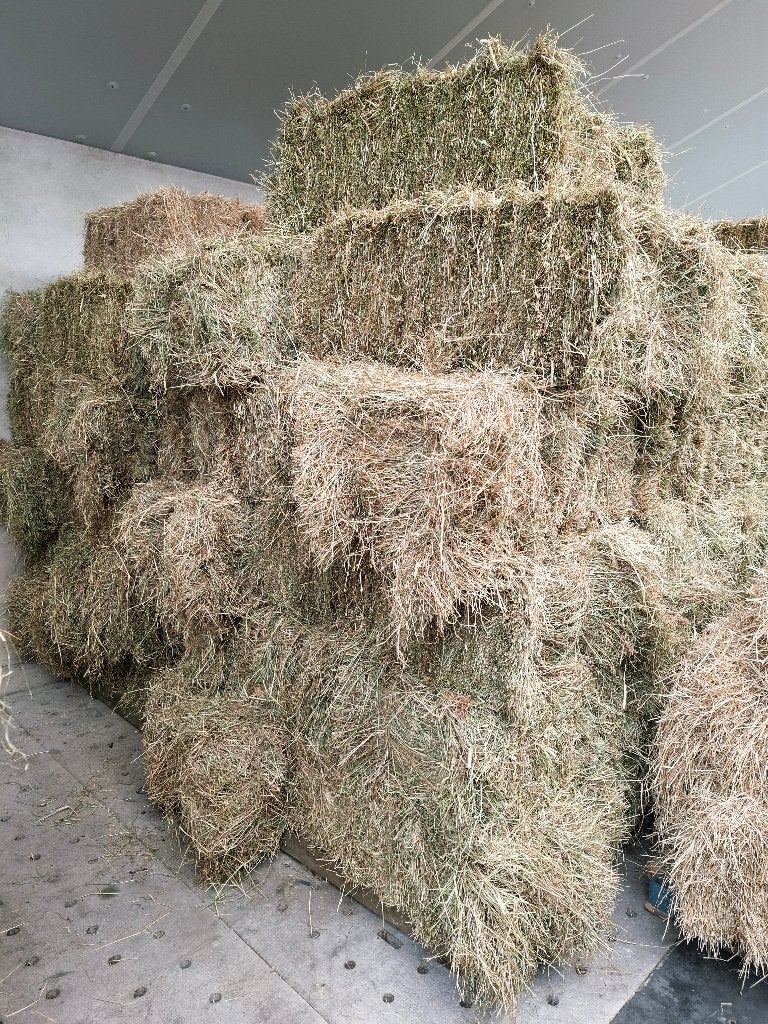 Kleine pakjes hooi geschikt voor geiten en herten!, Dieren en Toebehoren, Ophalen