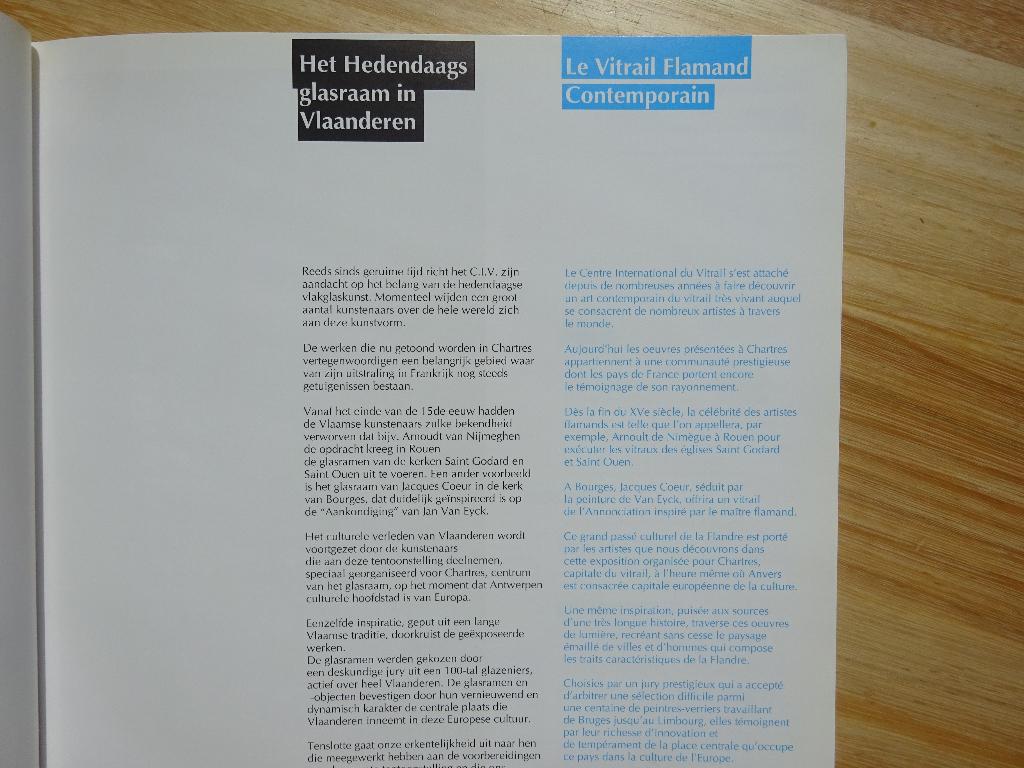 Hedendaagse Glaskunst in Vlaanderen 1993, Ophalen of Verzenden, Zo goed als nieuw, Overige onderwerpen