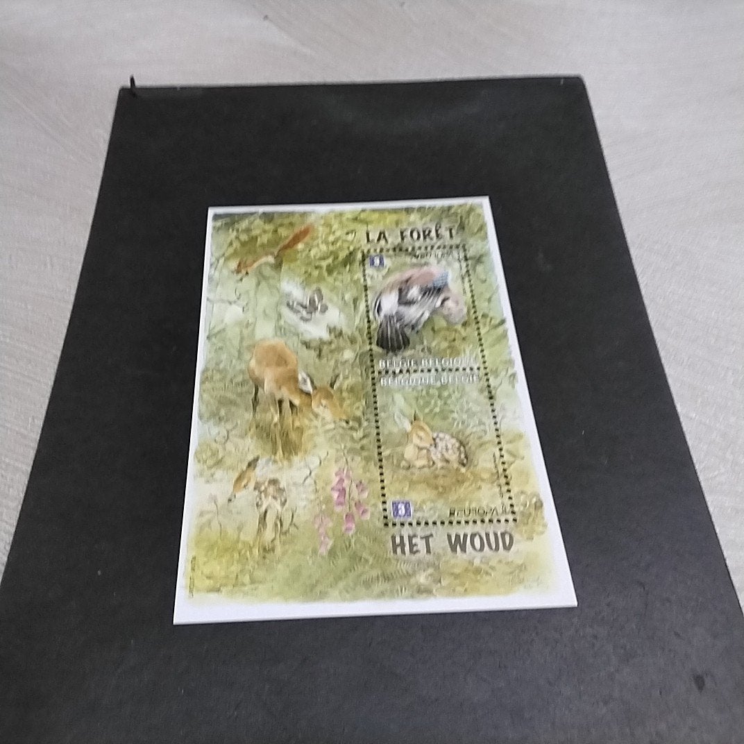 Bloc à menthe BELGIE 194 avec cote 33,00€, Timbres & Monnaies, Enlèvement ou Envoi, Neuf