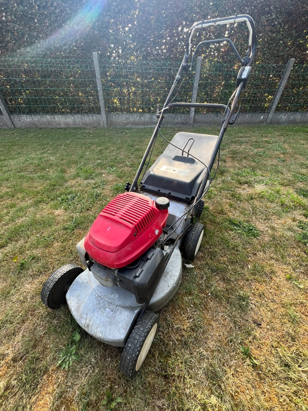 Tondeuse à gazon à essence Honda — Qualité professionnelle, Enlèvement, Utilisé, Tondeuses à gazon à essence, Sac de ramassage