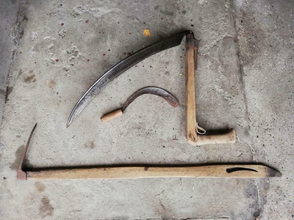 zeis(hand) korenpik en sichel, Tuin en Terras, Ophalen, Gebruikt, 10 tot 20 m², Gras
