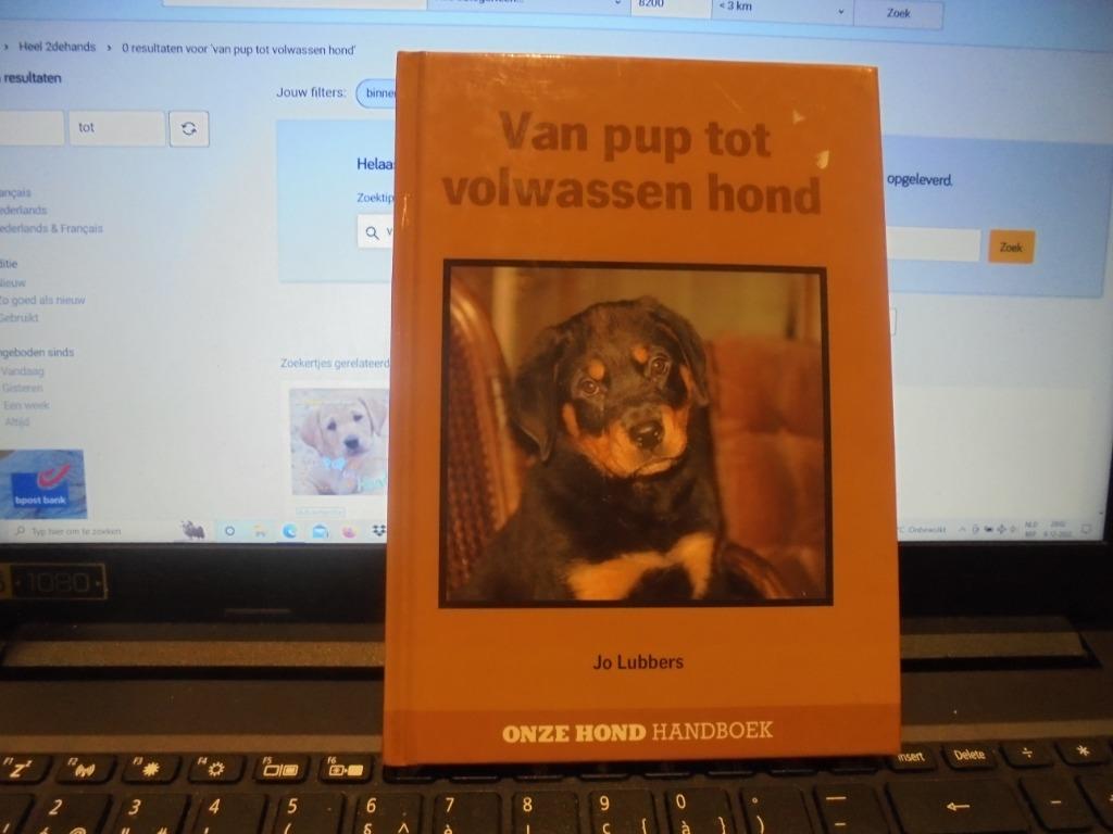 van pup tot volwassen hond, Enlèvement ou Envoi, Comme neuf