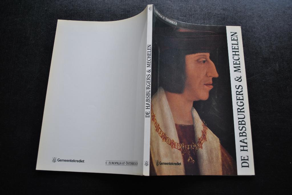 DE HABSBURGERS & MECHELEN BINNENHUIS VAN GOTIEK RENAISSANCE, Ophalen of Verzenden, Gelezen