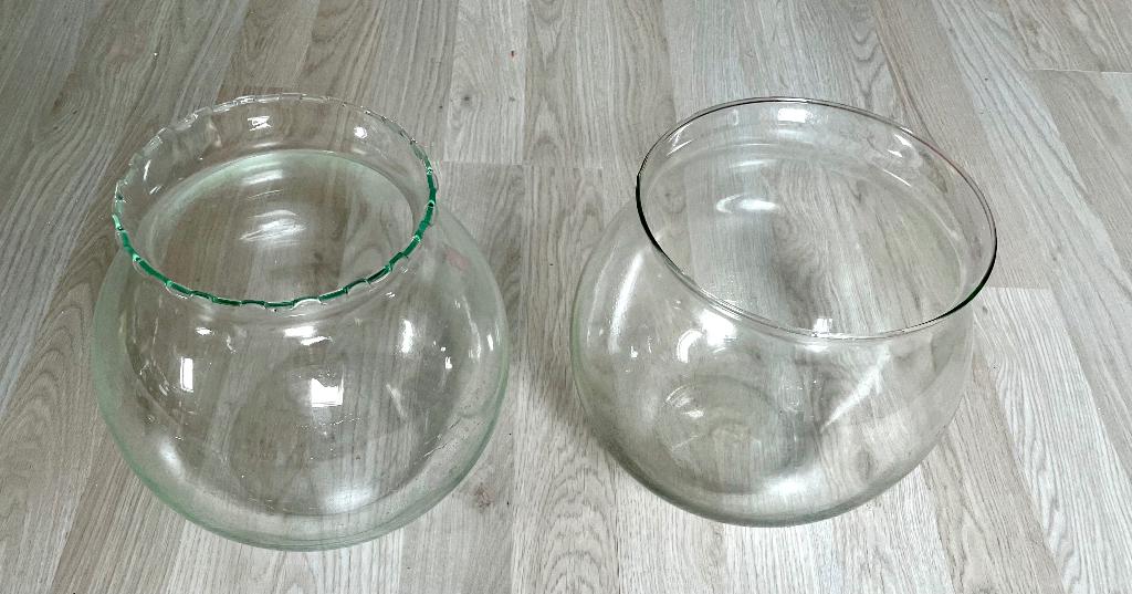 1 bocal à poissons à vendre, Poisson