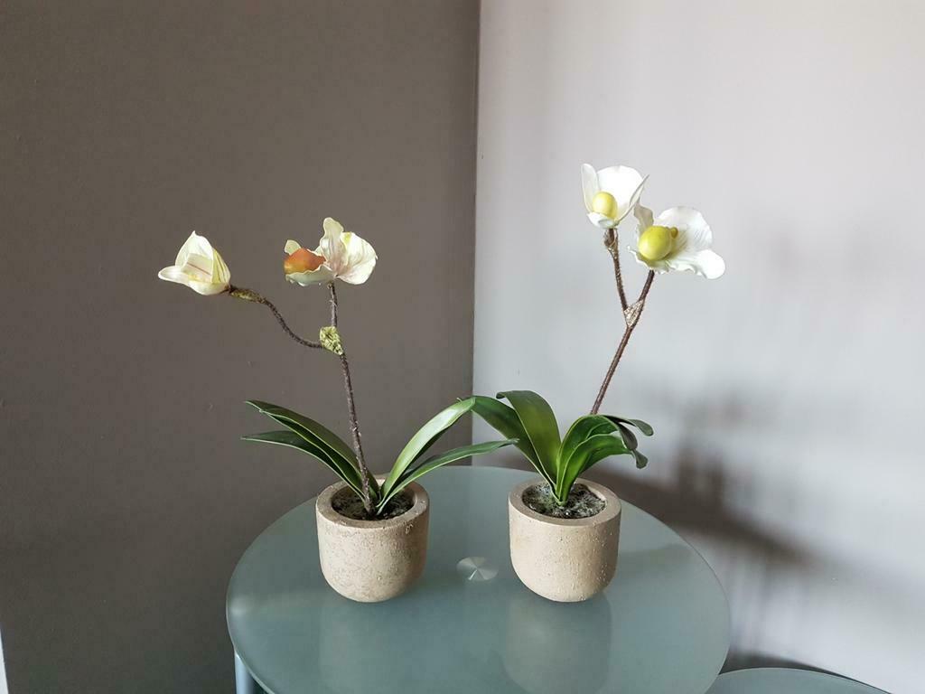 Namaak orchideeën van Sia, Maison & Meubles, Plantes d'intérieur, Enlèvement, Moins de 100 cm