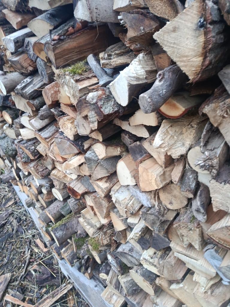 Bois de chauffage, 6 m³ ou plus, Enlèvement ou Envoi, Autres essences de bois, Bûches