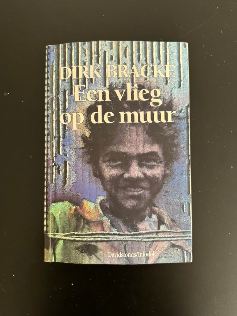 DIRK BRACKE : Een vlieg op de muur, Zo goed als nieuw